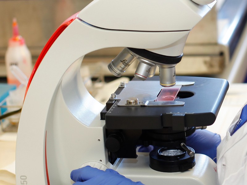 MICROBIOLOGIA_VALL_HEBRON_2021_13.jpg